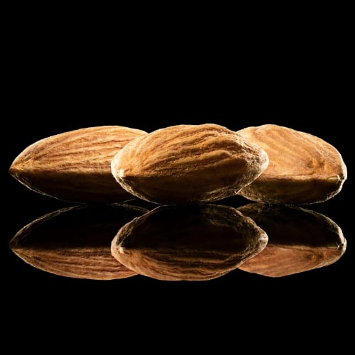 Almond Absolute