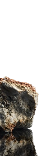 Ambergris Alchimie
