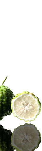 Bergamot Blast