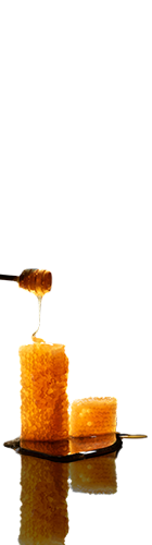 Honey Heaven