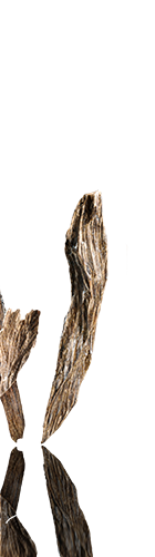 Oud Outshine
